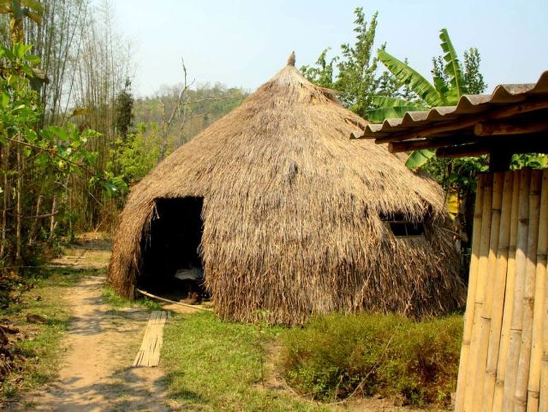 toilet-house.jpg