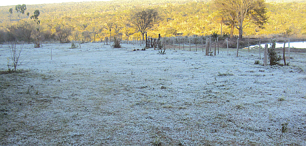 PY frio mucho.jpg