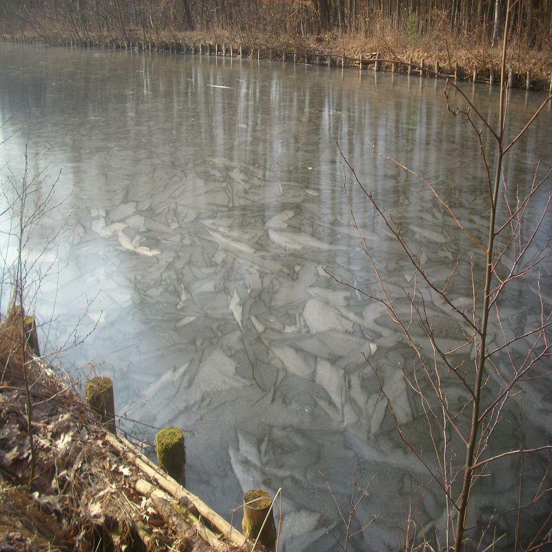 k-Bild 071.jpg