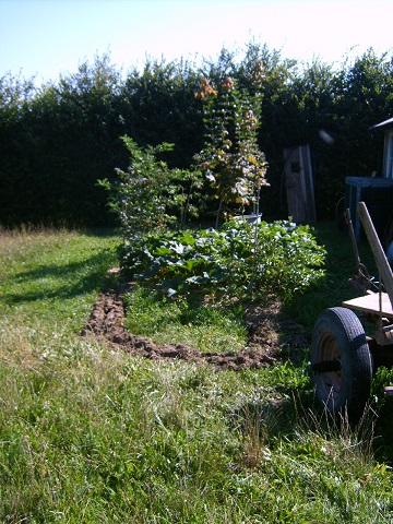 Der erwähnte Zierkürbis für Dekozwecke..."richtige" Kürbisse wachsen an anderer Stelle;)