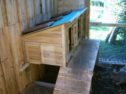 stall1.jpg
