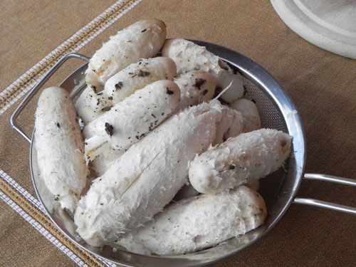 DSCN3815 - Kopie.JPG