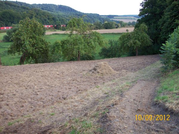 2 Nachher.jpg