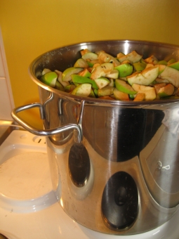 Äpfel kochen.jpg