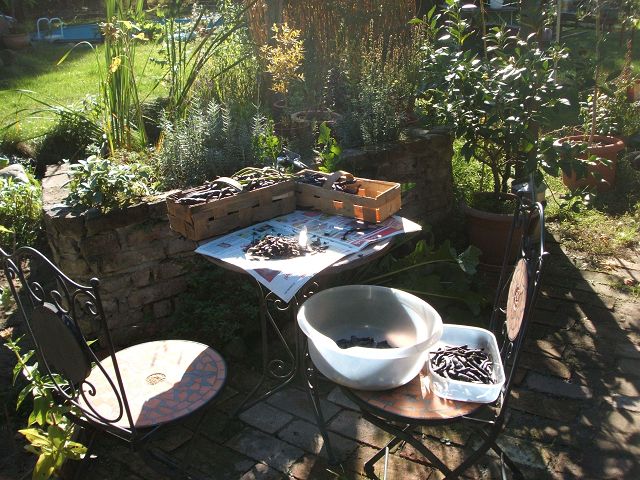 k-DSCF2198.jpg