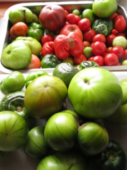 Chutney1.jpg