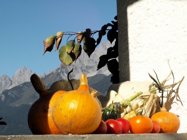 PICT1391_verändert.JPG