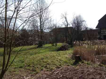 Garten6 red.jpg