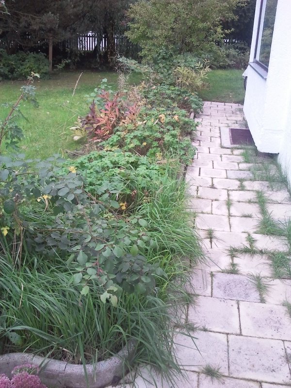 2013-10-08 12.47.09.jpg