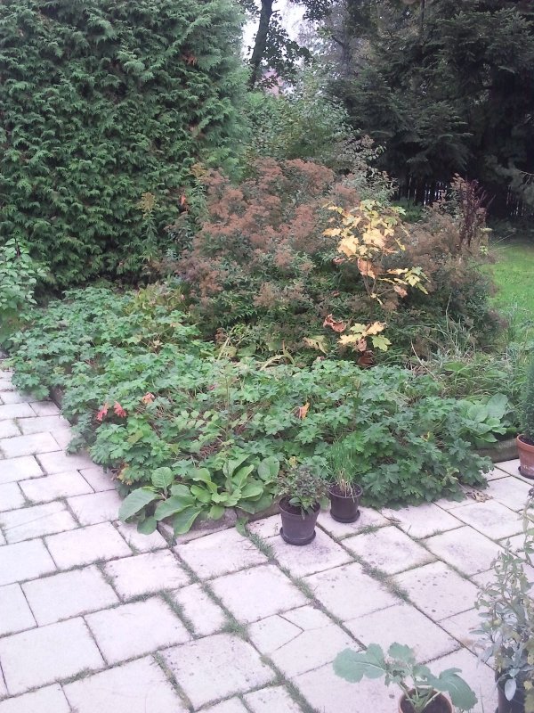 2013-10-08 12.47.29.jpg