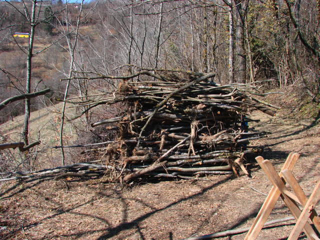 holzhaufen.jpg