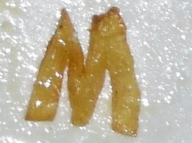 Chip.JPG