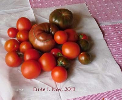 Ernte-1.11 Kopie.jpg
