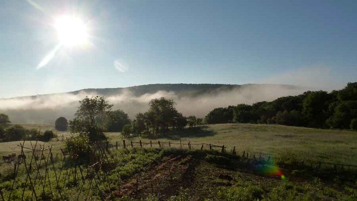 Sonnenaufgang im Garten.JPG