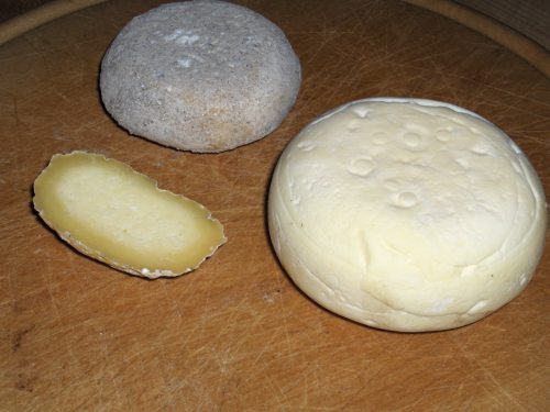 HPIM4441s.JPG