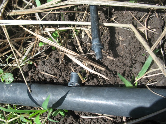 8mm drip connection.JPG
