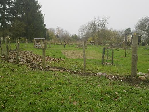 hecke2.JPG
