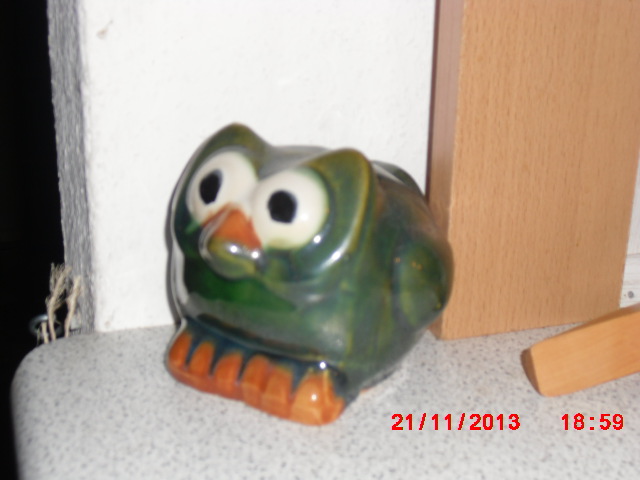 Froscheule 001.JPG