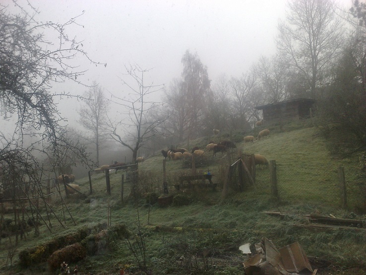 Nebel