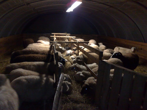 Tunnel
