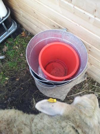 20131123_131724.jpg