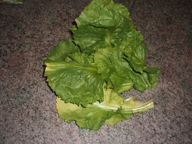 k-salat.jpg