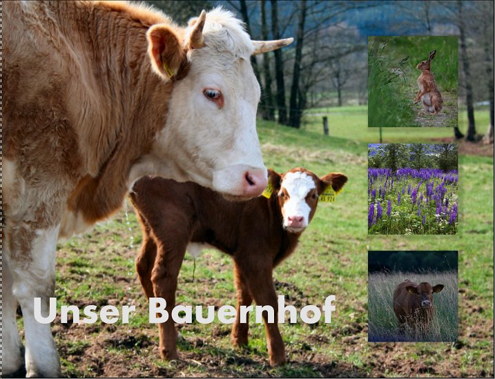 Fotobuch.jpg