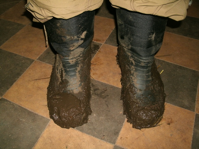 ... wenn du zum schweine gehst, vergiß die gummistiefel nicht...