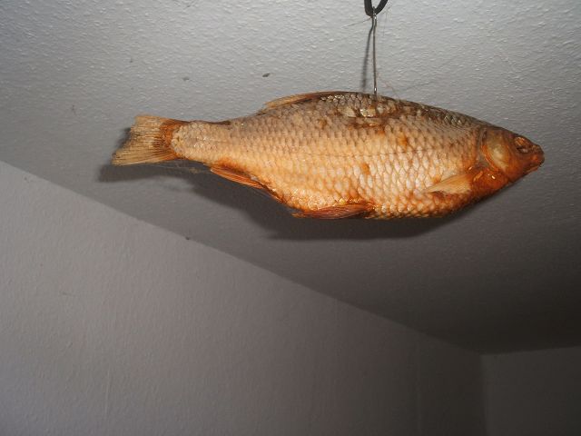 k-trockenfisch.jpg