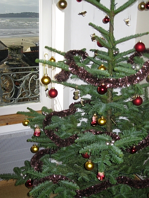 Weihnachtsbaum mit Aussicht.jpg