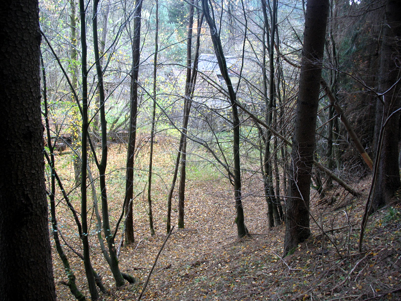am Waldhang