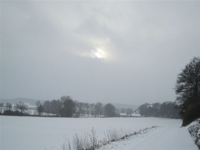 IMG_8813.JPG