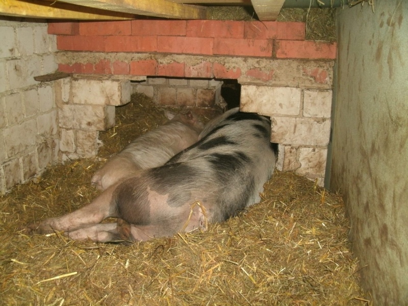 kuschelrunde.jpg