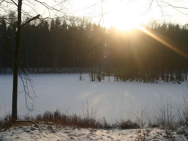 k-fenn4.jpg