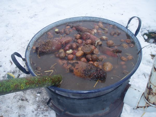 swkochen1.jpg