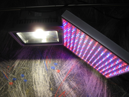 LED-Baustrahler_und_Grow-Panel.jpg