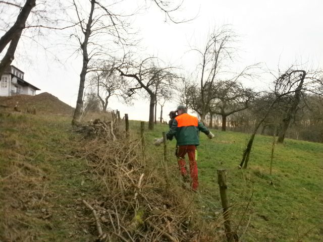 hecke3.jpg