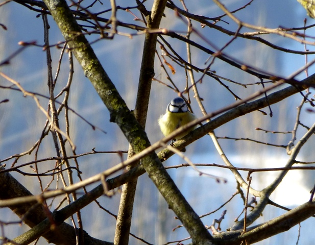 P1000117.jpg