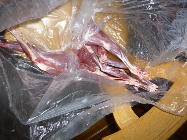P1000267.JPG