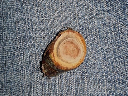 040 - Kopie.JPG