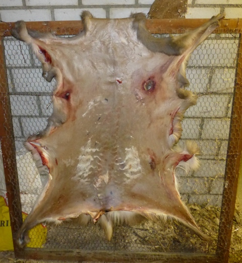 P1000095.JPG