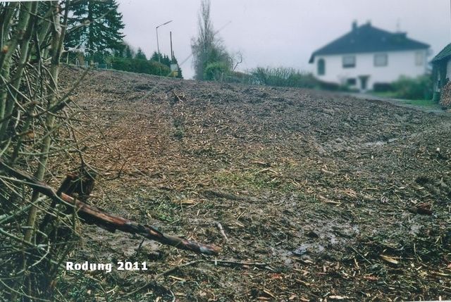 M.JPG
