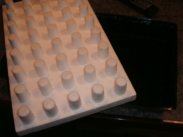 k-sb3.jpg