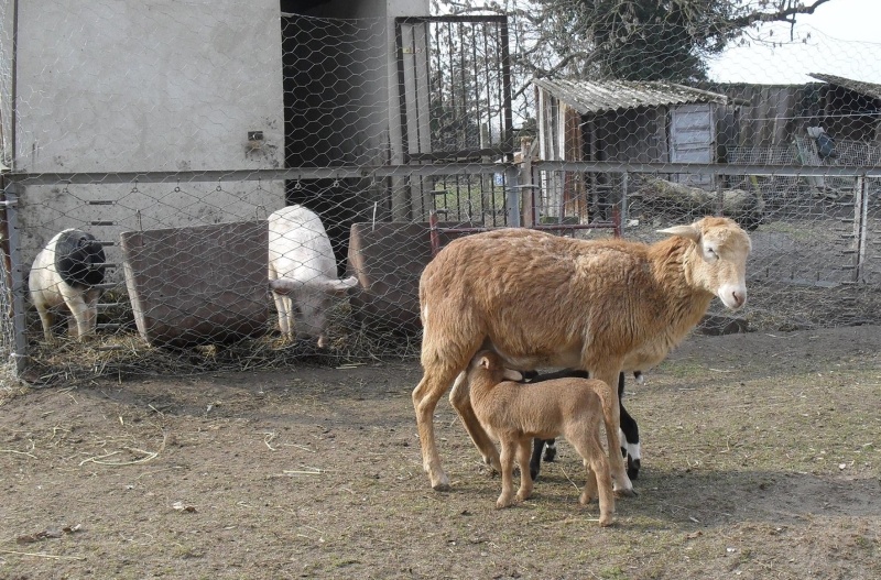 milchbar in der sonne_kl.jpg