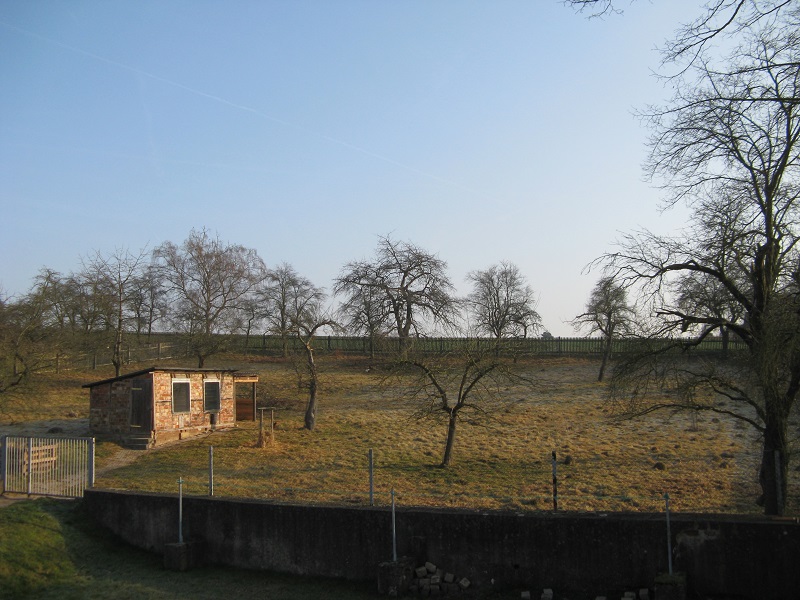 blick vom anbau auf die streuobstwiese mit Hühnerstall. die schafe sind zum lammen beim Nachbarn- gestern gab es zwillingslämmer, beide wohl auf.