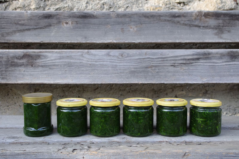 und anschliessend zu lekkker Bärlauchpaste verarbeitet.
