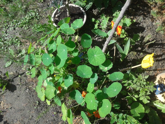 20130627_091504.jpg
