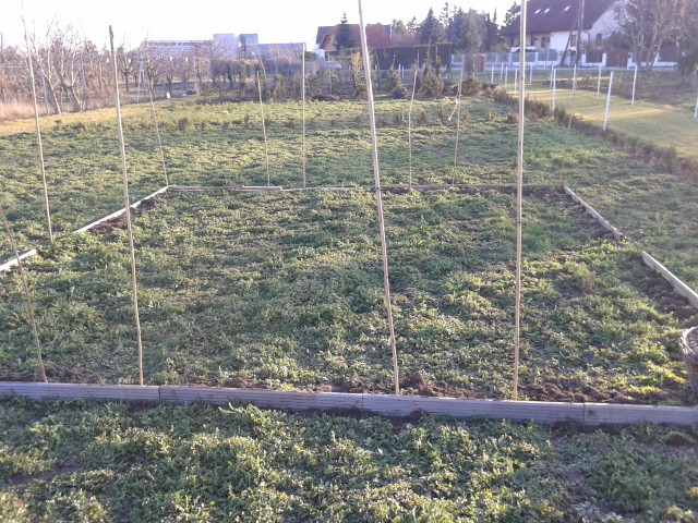 Blick nach Süden. Die südliche Grenze meiner Fläche liegt auf Höhe des kleinen Nußbaums, der ganz links hinten im Bild ist. Rechts die kleinen Thujen (warn schon da...) markieren die westliche Grenze. Die Thujen auf der Südseite hat der Vermieter auf meine Bitte hin entfernt.