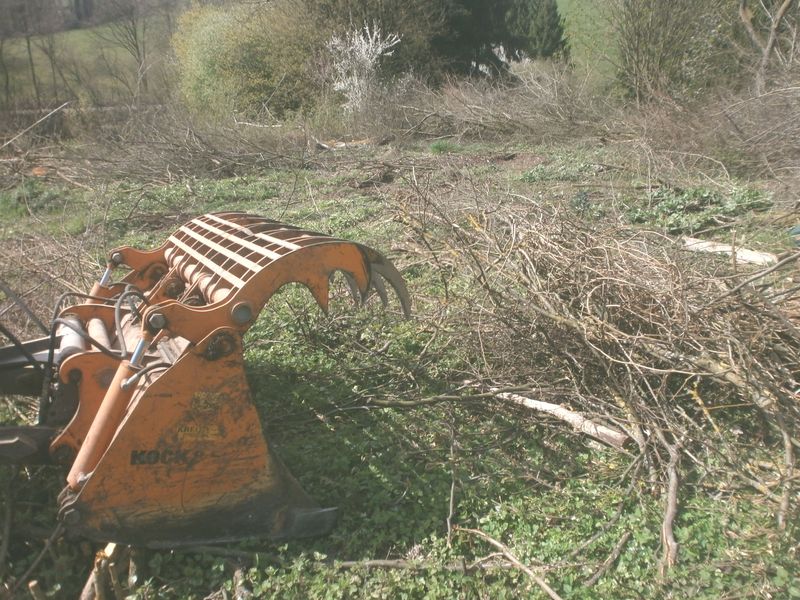sv-a.jpg