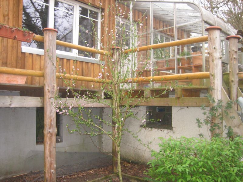 Garten 04 001.jpg